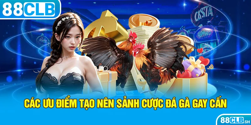 3+ ưu điểm tạo nên sảnh cược đá gà gay cấn