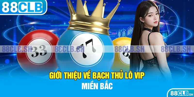 Giới thiệu về bạch thủ lô VIP miền Bắc