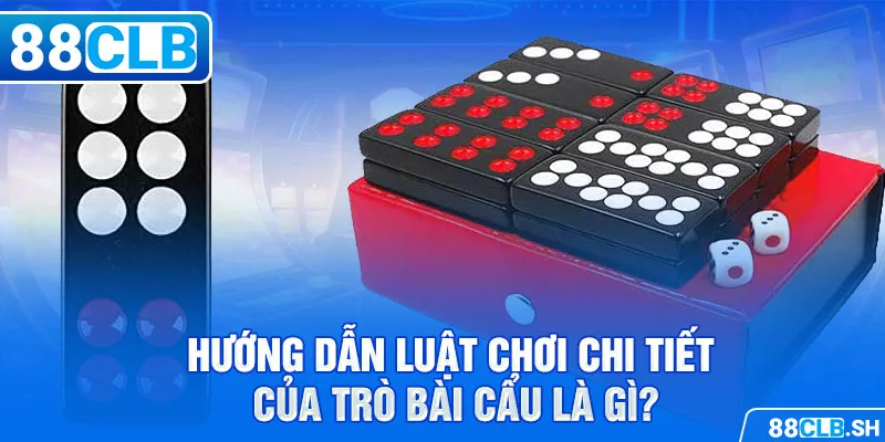 Hướng dẫn luật chơi chi tiết của trò bài cẩu là gì?