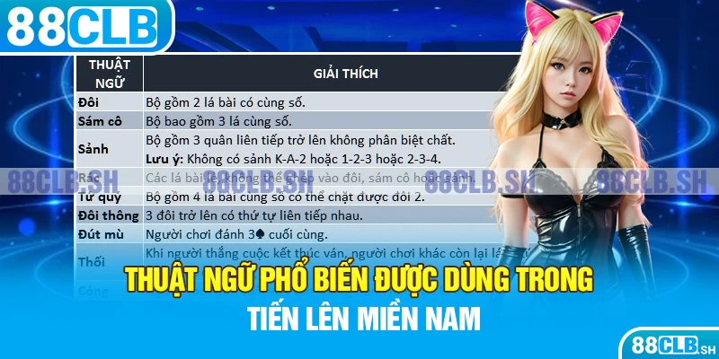 Thuật ngữ phổ biến được dùng trong tiến lên miền Nam