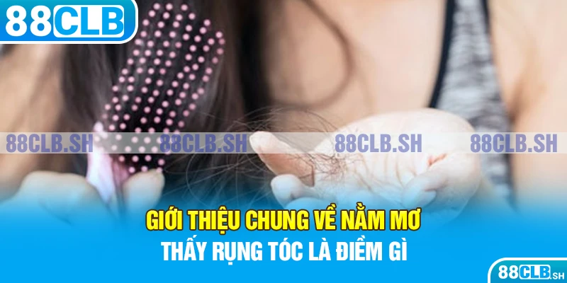 Tổng quan nằm mơ thấy rụng tóc là điềm gì