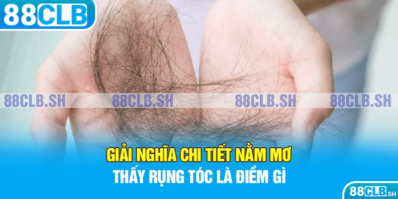 Giải nghĩa chi tiết nằm mơ thấy rụng tóc là điềm gì